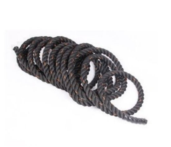 Picture of SHANDONG TZ PHYSICAL TRAINING ROPE