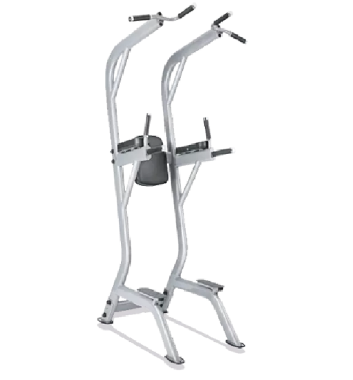 Picture of BODY SOLID NEO VERTICAL KNEE RAISE & CHIN UP