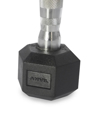 Picture of ANVIL RUBBER HEX DUMBBELL 
