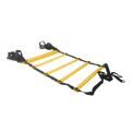 Picture of OK PRO AGILITY LADDER