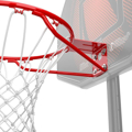 Picture of SPALDING STANDARD BASKETBALL RIM