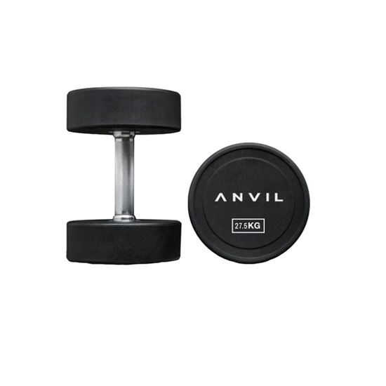 Picture of ANVIL URETHANE DUMBBELL 2.5KG