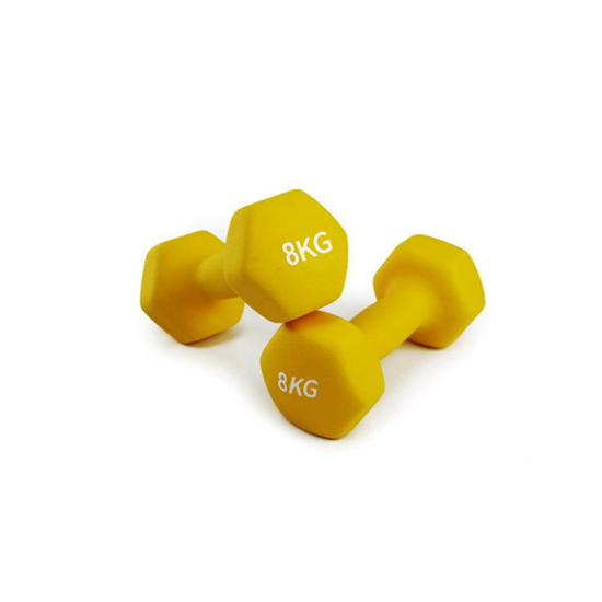 Picture of SHANDONG TZ Vinyl dumbbell