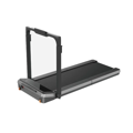 Picture of BEIJING KINGSMITH MOTORIZED TREADMILL WP400Q42