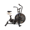 Picture of SHANDONG TZ Air Bike