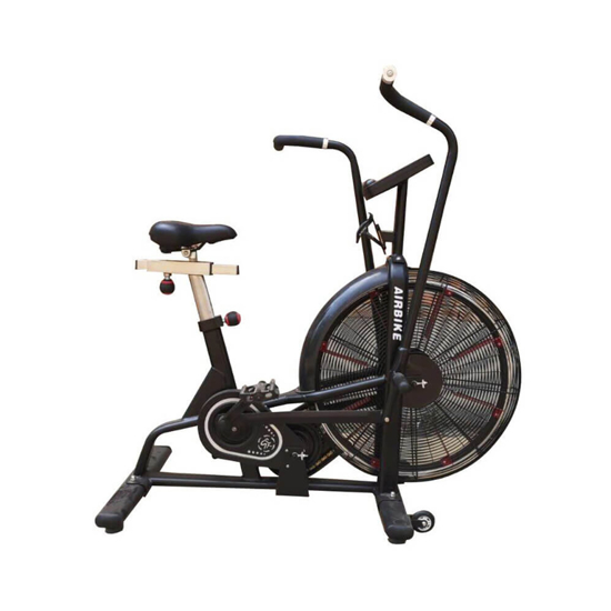 Picture of SHANDONG TZ Air Bike