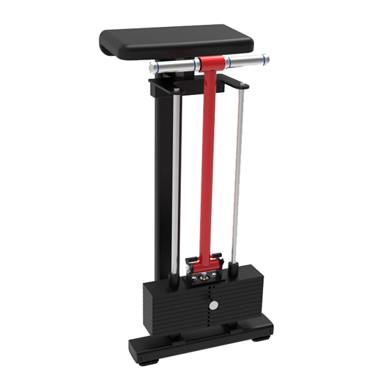 Picture of SHANDONG TZ Wrist curl machine