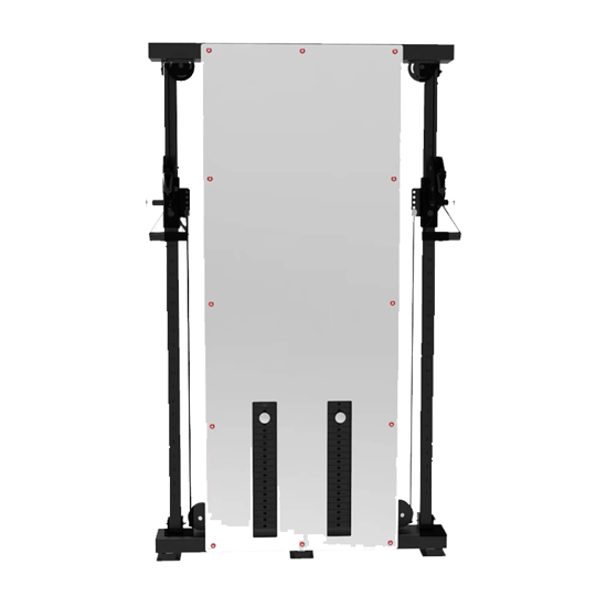 Picture of SHANDONG TZ Wall Mounted Mirror Functional Trainer